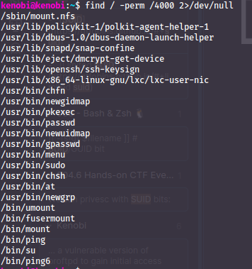 All applications with SUID-bit using our command